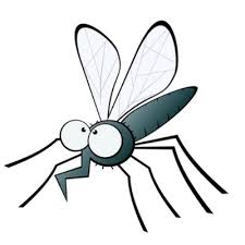 Diệt Muỗi Tại Quận 8